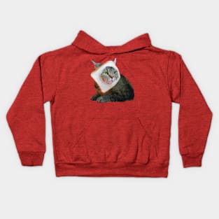 Cat in bread painting Kids Hoodie